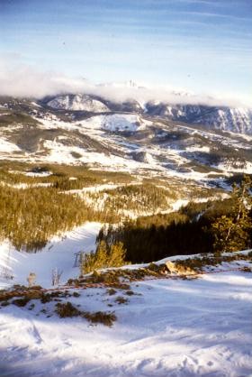 A view from Lone Mountain, looking down a steep trail.  Bonzai!