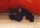 thumbnail of Sarabi
