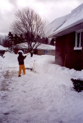 roof raking 4 of 5